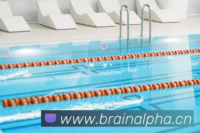 多媒体互动体验